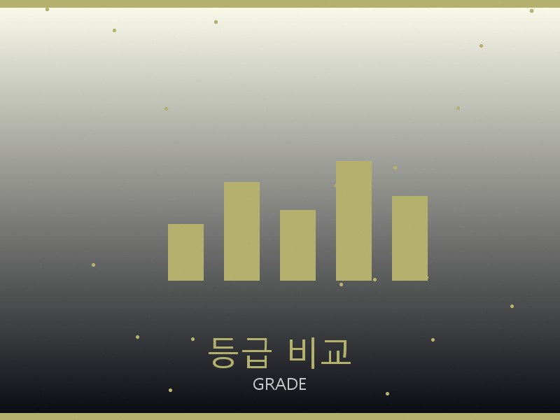 아미 레플리카 사이트 등급 기준 비교